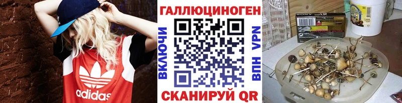 Галлюциногенные грибы MAGIC MUSHROOMS  Камень-на-Оби 