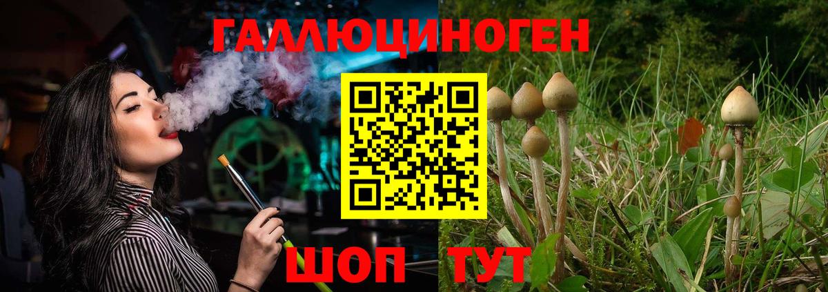 Псилоцибиновые грибы MAGIC MUSHROOMS  Галлюциногенные грибы Psilocybine cubensis  Камень-на-Оби  Вход с VPN 